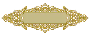 Cz Vignette
